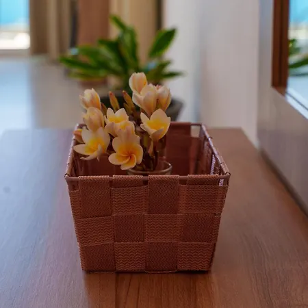 Star Appartement